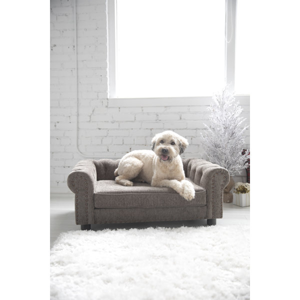 LaZBoy Newton Furniture Dog Sofa & Reviews Wayfair